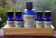 Basic Aromatherapy Kit